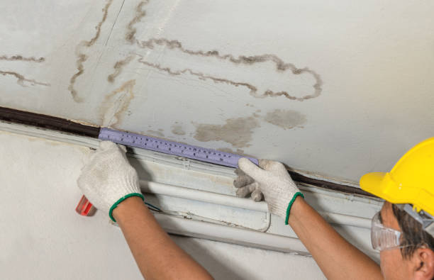 Reliable Basement Water Removal contractor in Elkins, NH by Water Damage Irwin